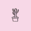 p_scheffler